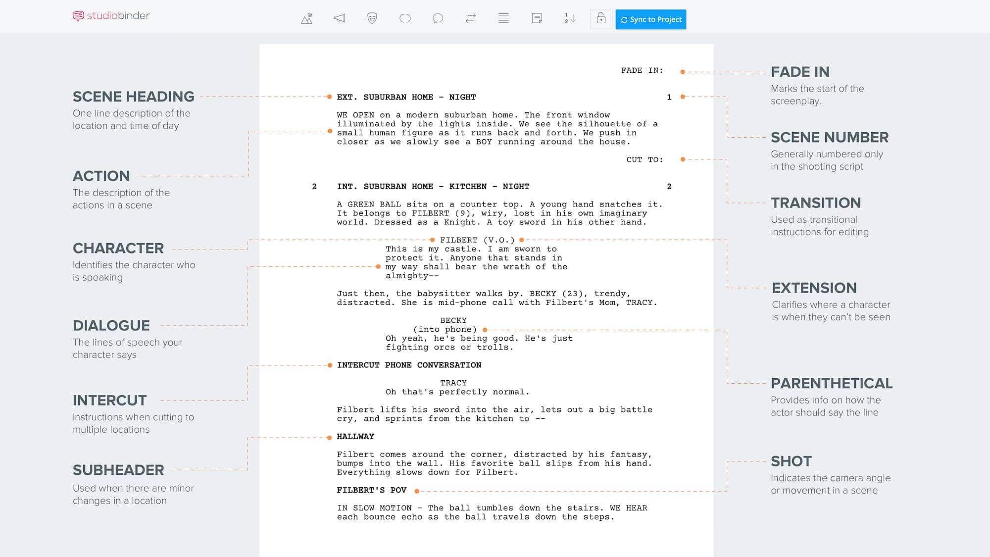 What is Script Writing - Script Format - Infographic